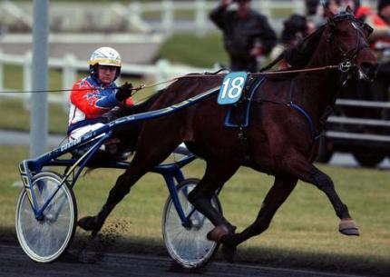 Des doses de sperme congelé de Varenne au Haras de Sassy !