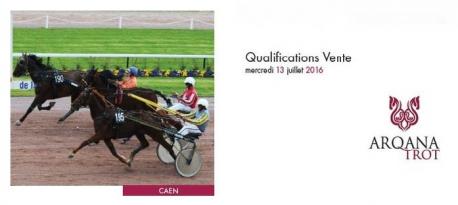 Des étalons maison aux Qualifications Vente