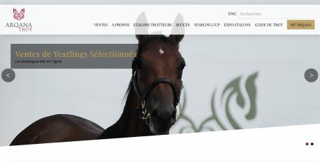  LES VENTES DU HARAS DE SASSY 