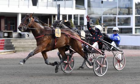 Les gagnants du Haras de Sassy du 04/05 au 09/05/2021
