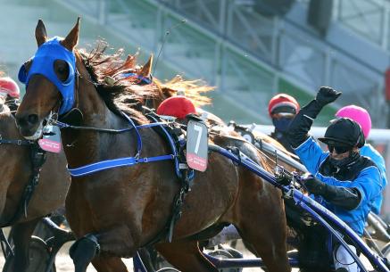 Les gagnants du Haras de Sassy du 22/02 au 27/02/2021