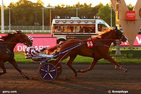 Les gagnants du Haras de Sassy du 27/05 au 02/06/2019