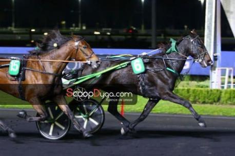 Les gagnants du Haras de Sassy du 04/10 au 17/10/2021 
