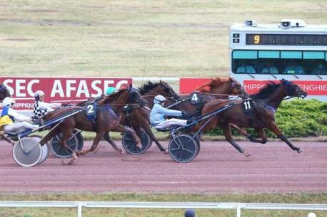 Les gagnants du Haras de Sassy du 04/07 au 24/07/2022