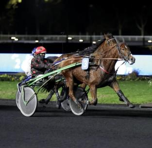 Les gagnants du Haras de Sassy du 14/11 au 27/11/2022