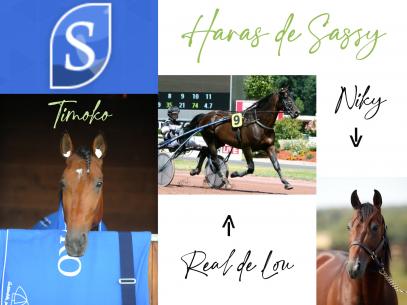 Les gagnants du Haras de Sassy du 04/07 au 25/07/2021