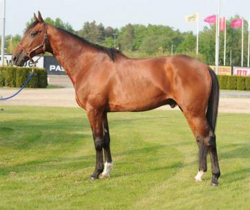 Les gagnants du Haras de Sassy du 12/10  au 25/10/2020