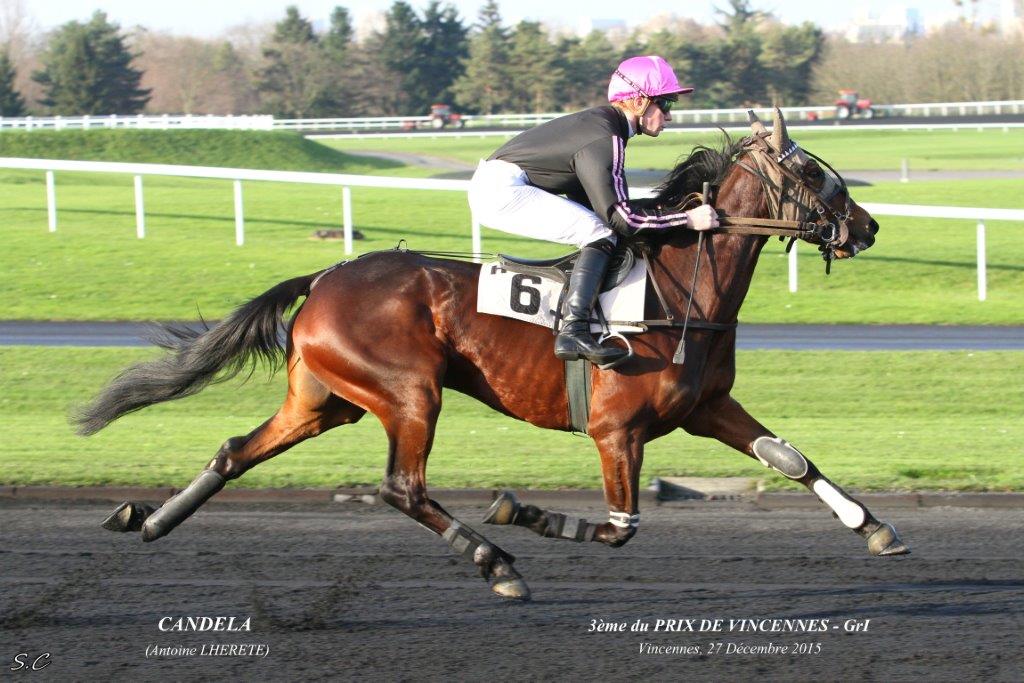 Antoine Lherete au Prix de Vincenne avec Candela