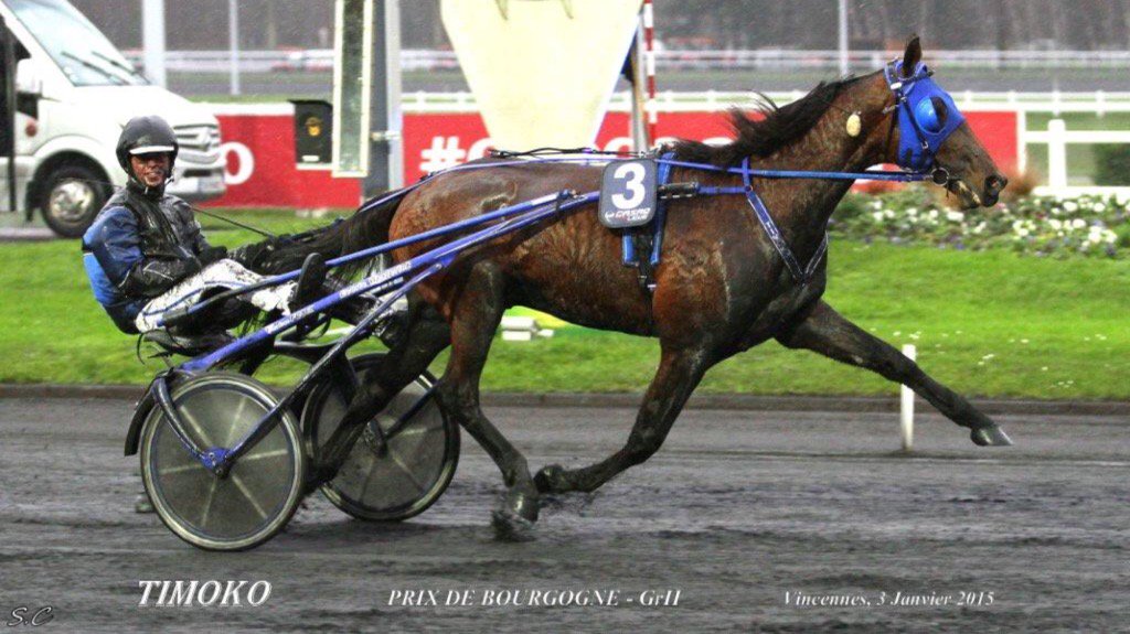 Timoko Prix de Bourgogne